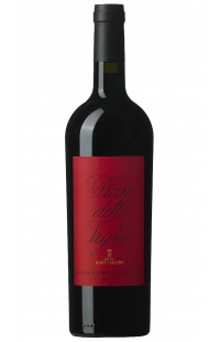 Antinori : Pian delle Vigne 2016 - Rosso Di Montalcino