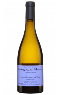 Domaine Sylvain Pataille : Bourgogne Aligoté Blanc Auvonnes au Pépé 2021