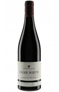 Stéphane Ogier L'âme soeur 2015