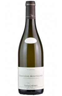 Domaine Thomas Morey : Chassagne Montrachet Blanc 2019