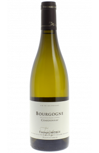 Domaine Thomas Morey : Bourgogne Chardonnay Blanc 2022
