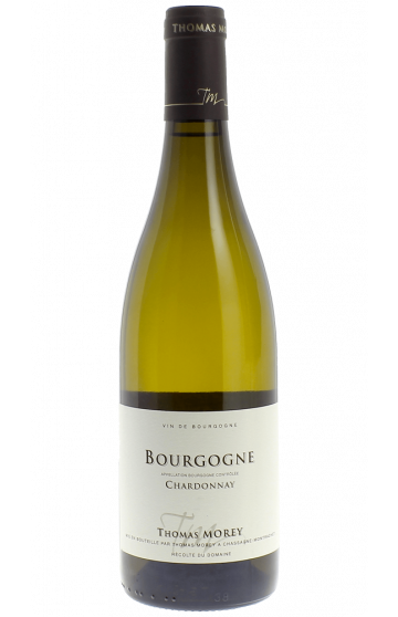 Domaine Thomas Morey : Bourgogne Chardonnay Blanc 2022